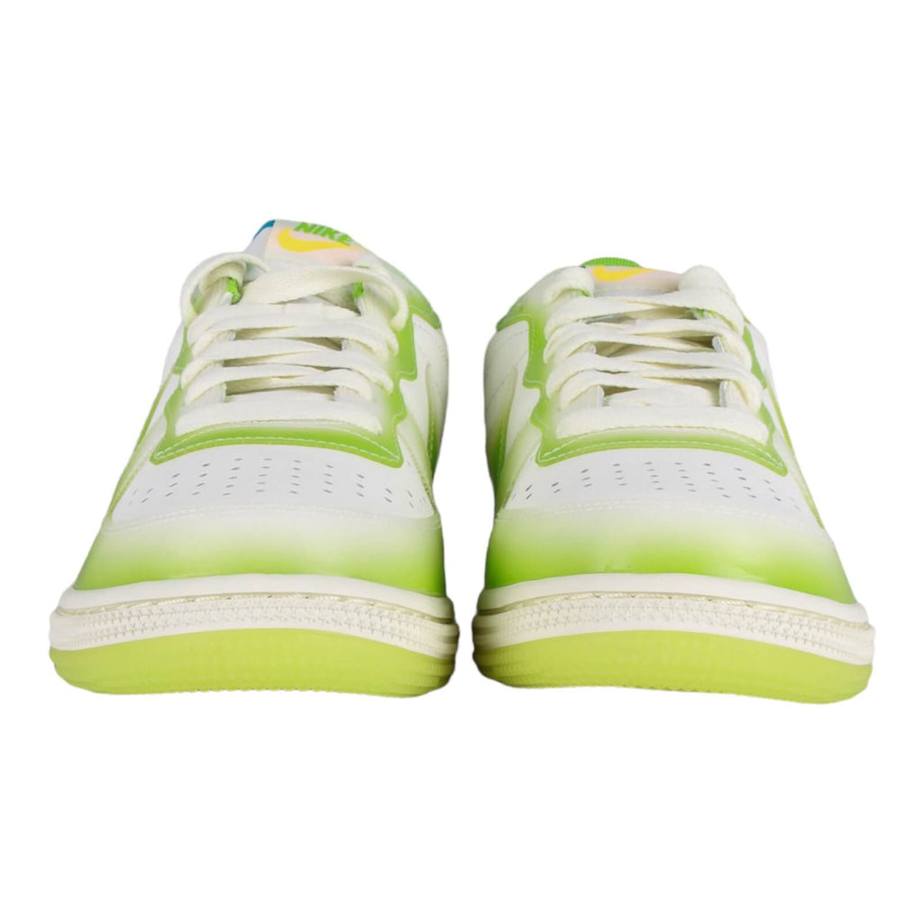 NIKE Terminator Low Premium FN7651 133