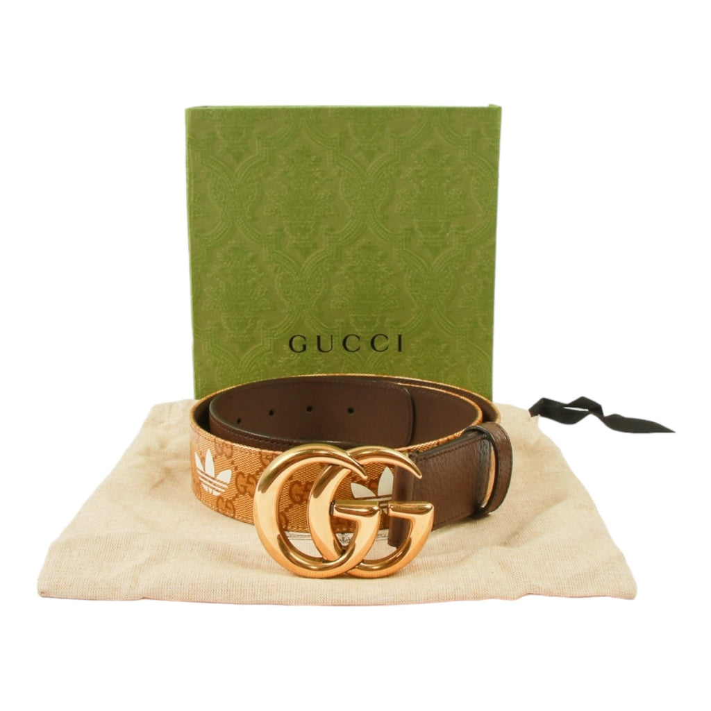 Authentic Gucci x Adidas Marmont Belt Brown