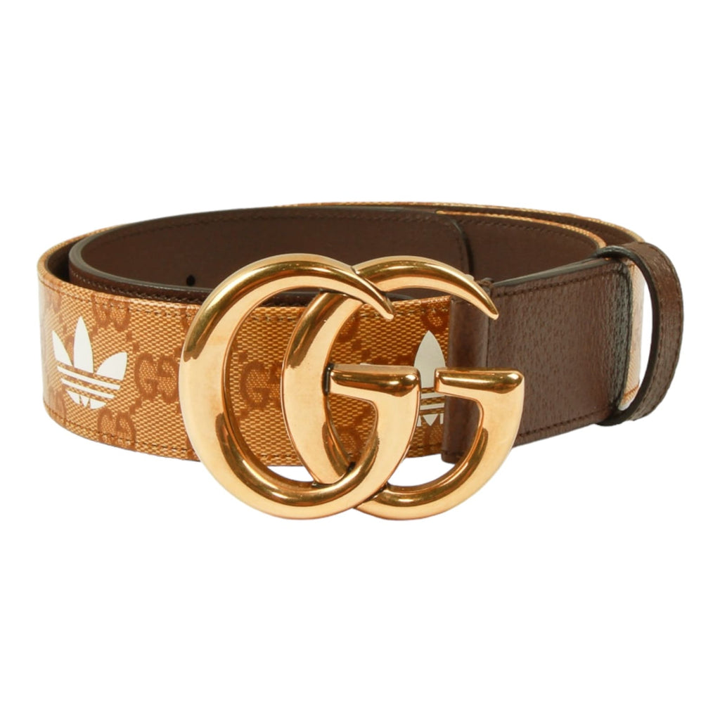 Authentic Gucci x Adidas Marmont Belt Brown