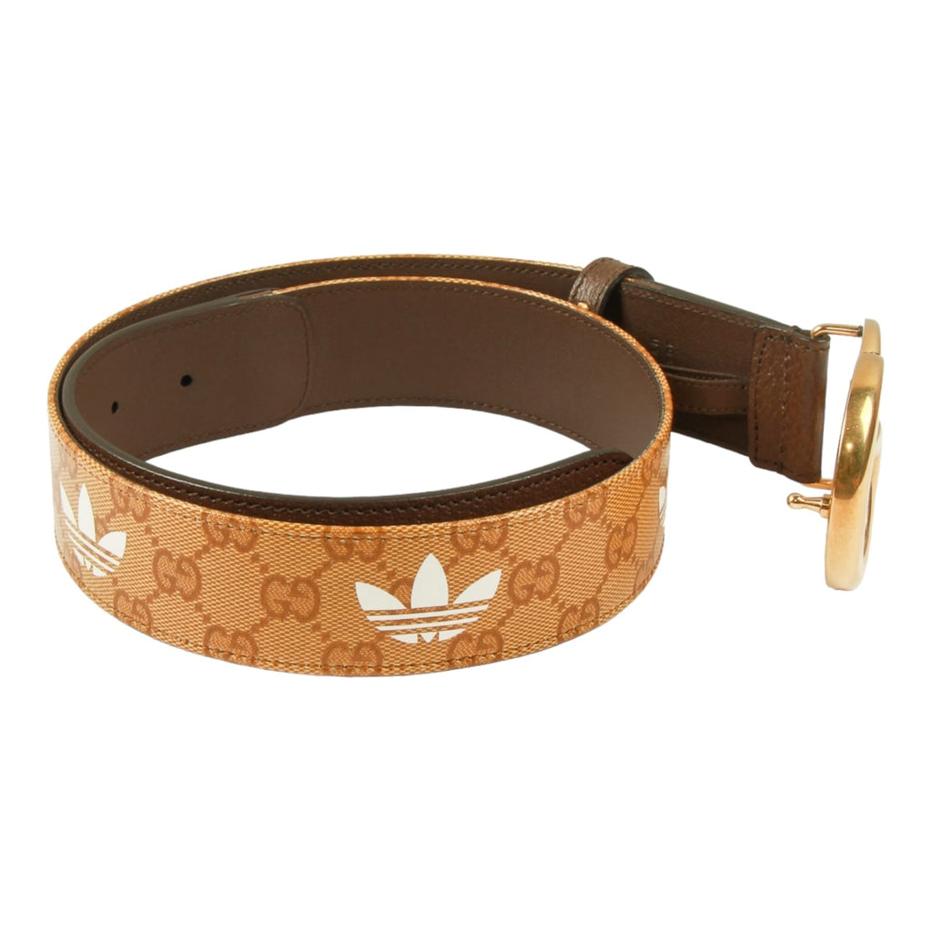 Authentic Gucci x Adidas Marmont Belt Brown