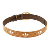 Authentic Gucci x Adidas Marmont Belt Brown